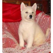 kelly_anna99@yahoo.com